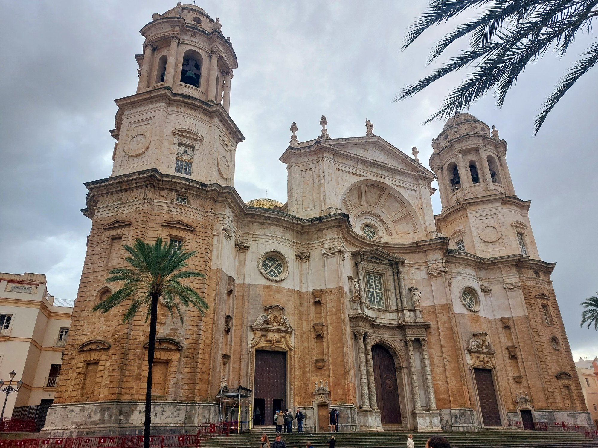 Catedral de Cádiz mit Palme im Vordergrund