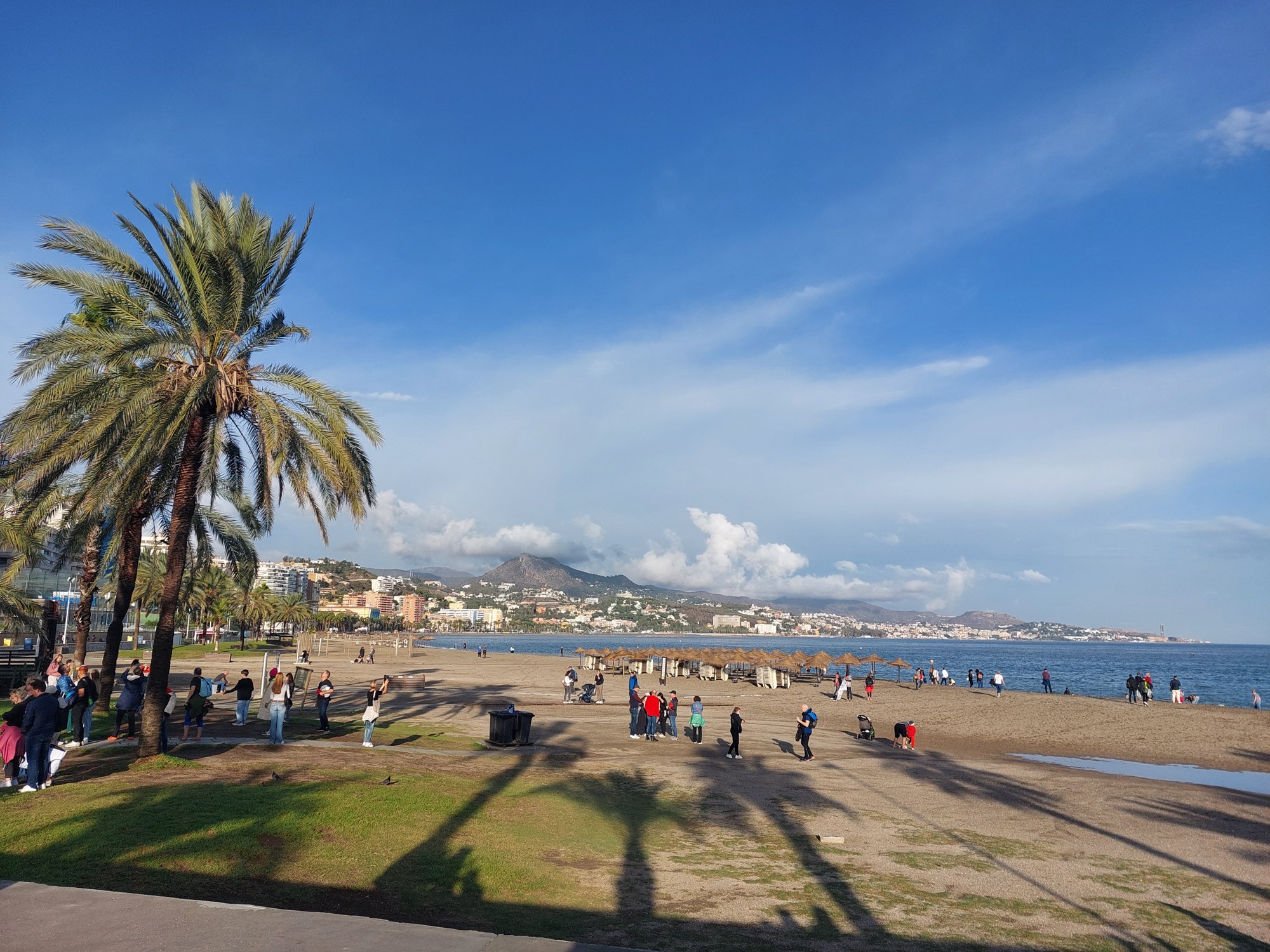 Strand von Málaga mit Palmen