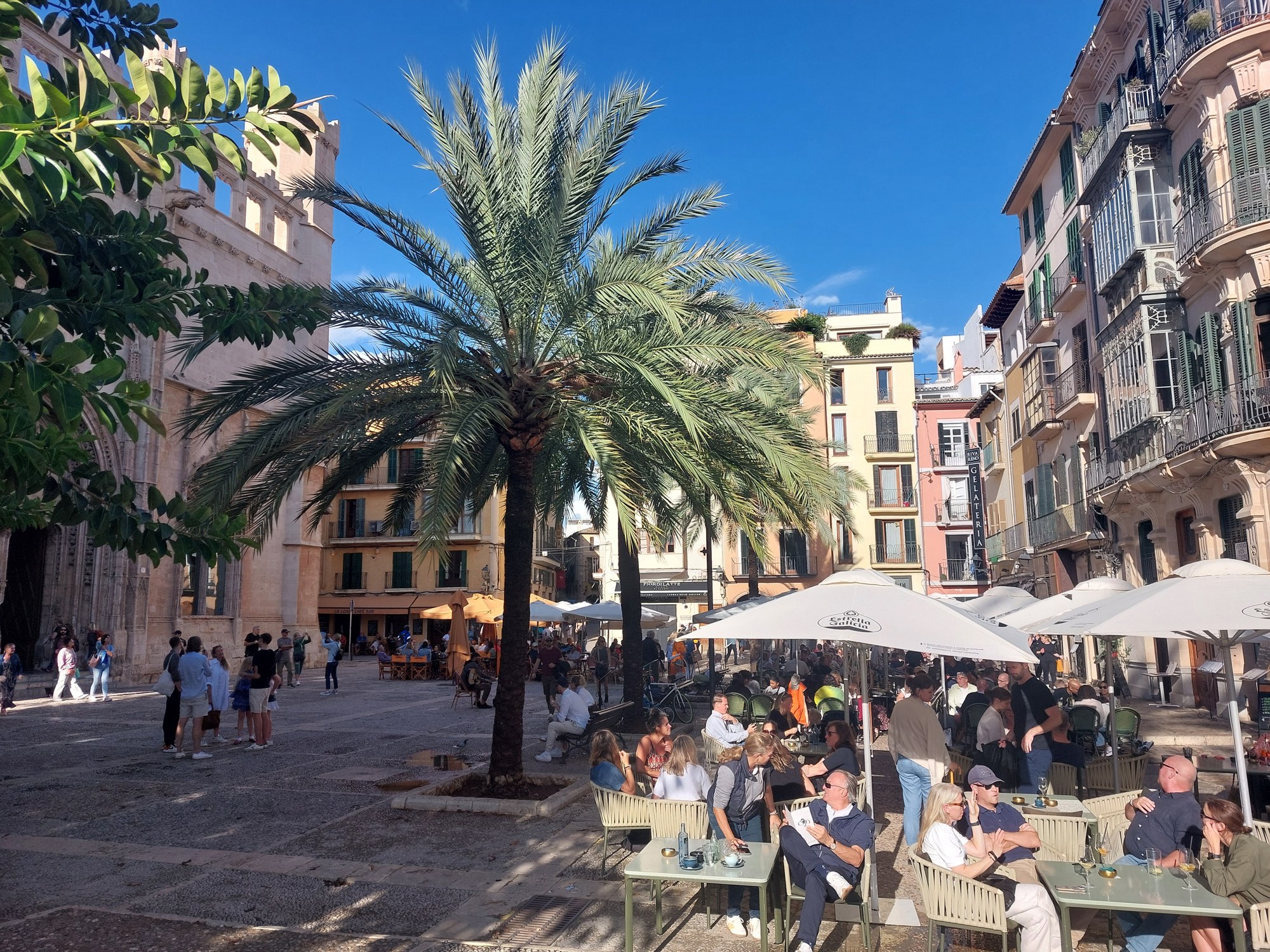 Innenhof mit Palme und Straßencafé in Palma de Mallorca