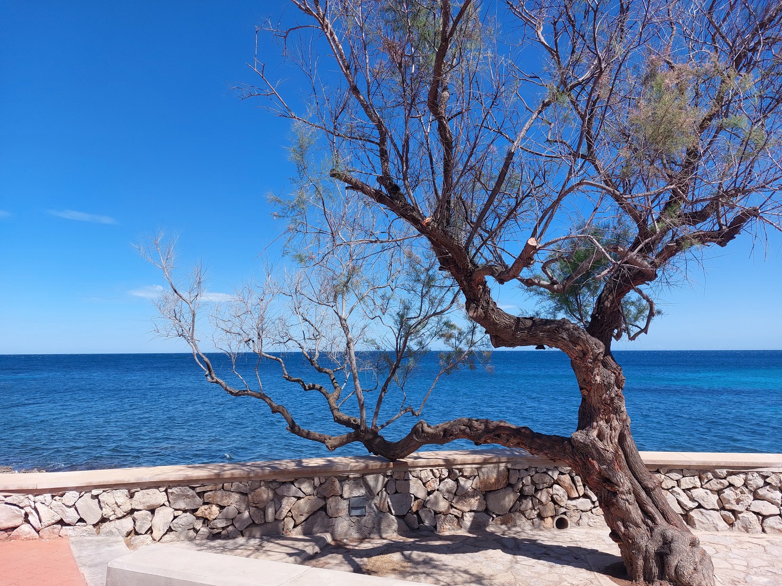 Strand Cala Millor Mallorca