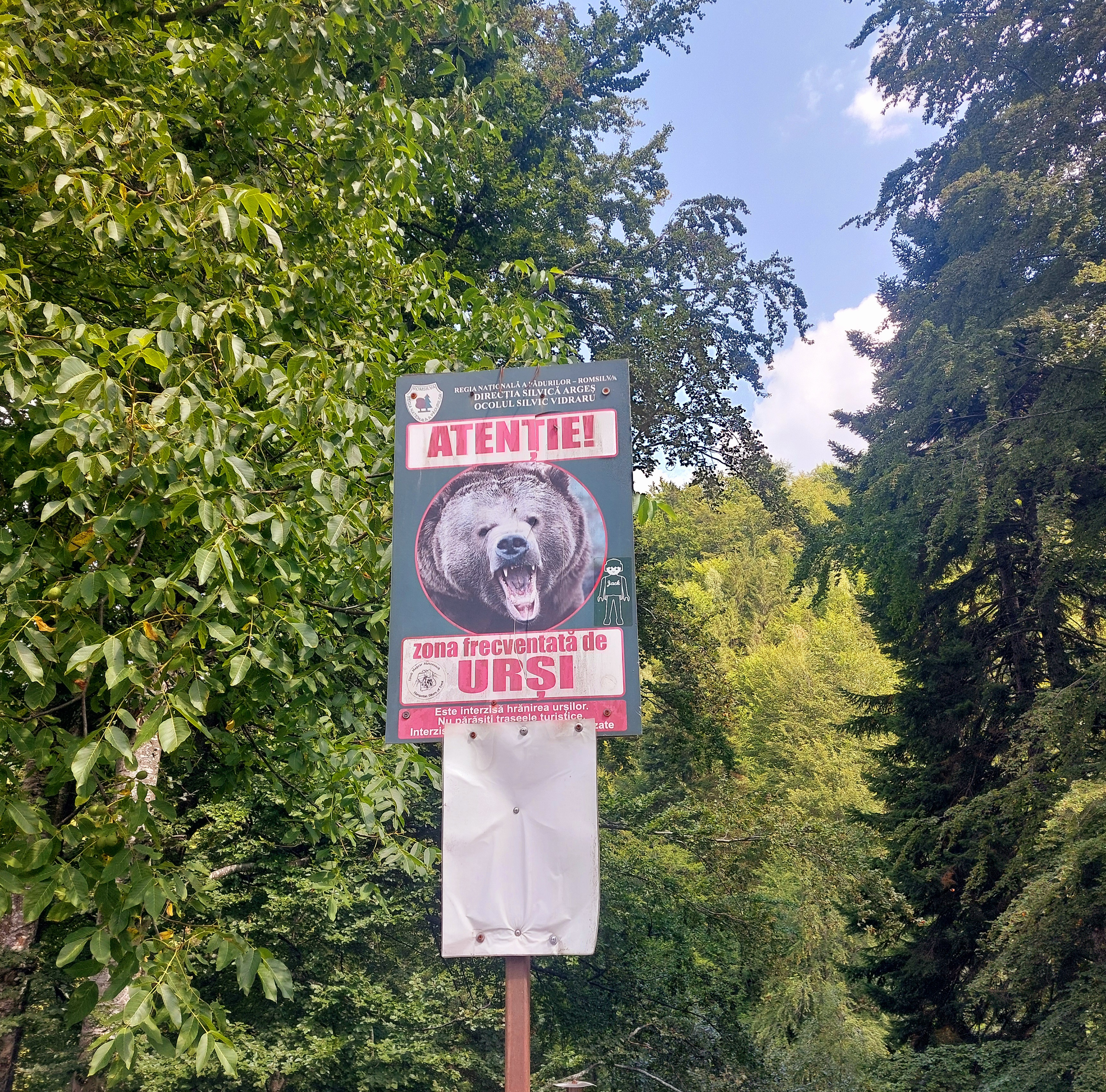 Achtung Bären Warnschild an der Transfăgărășan – zona frecventată de urși