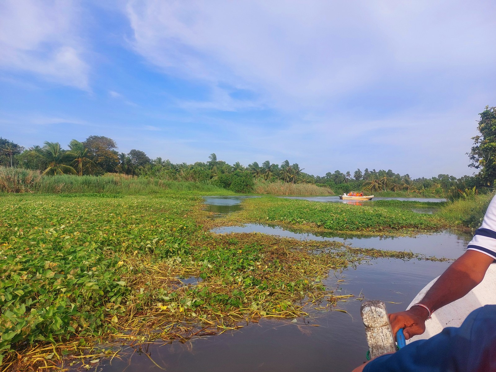 Bootstour durch den Fluss mit Wasserhyazinthen in Hambantota