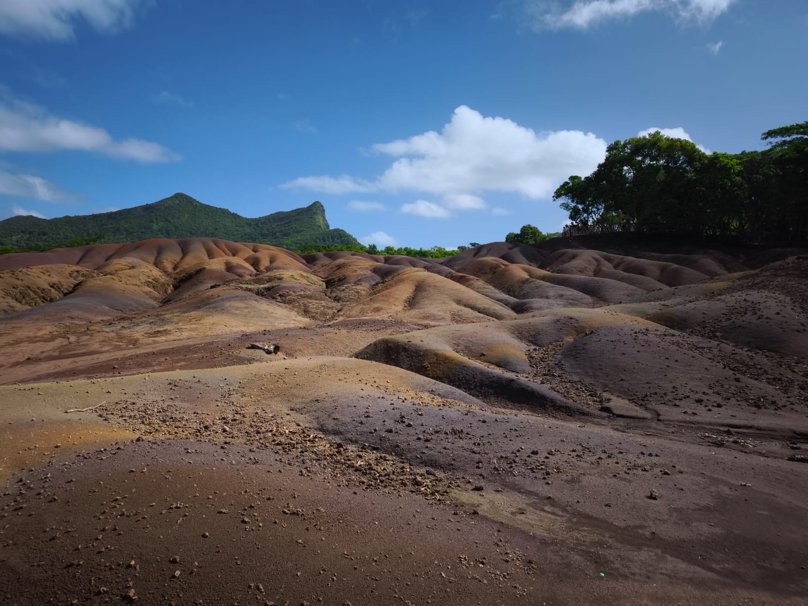 Siebenfarbige Erde von Chamarel, Mauritius