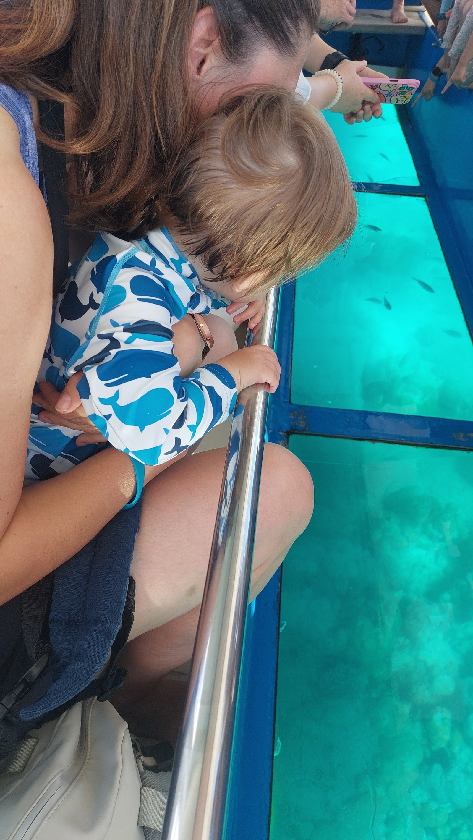Bootstour mit Glasboden auf den Seychellen, Blick auf Fische im Wasser