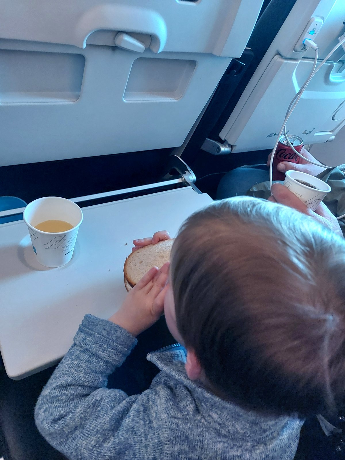 Lolo im Langstreckenflug – zufrieden mit Brötchen und Saft