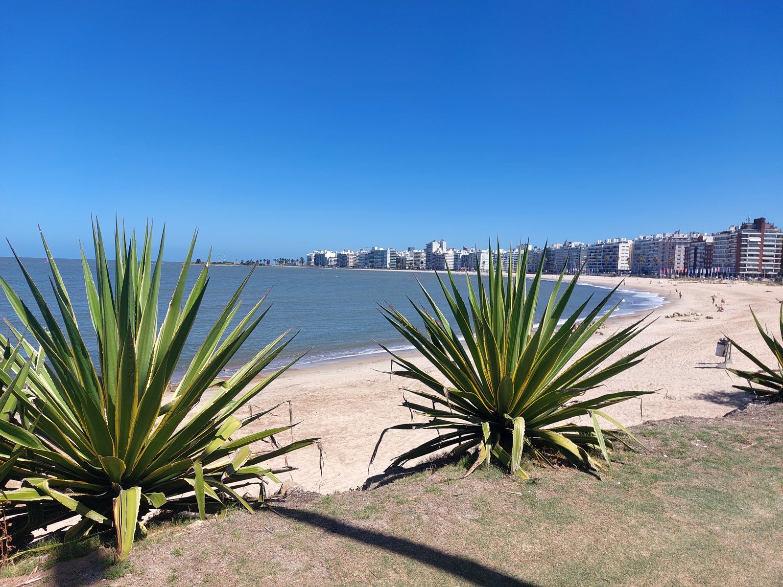 La Rambla Montevideo – Strand und Skyline